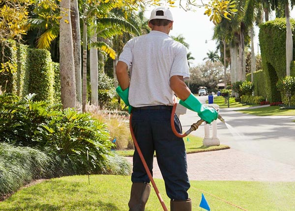 About Lake Waccamaw NC Pest Control